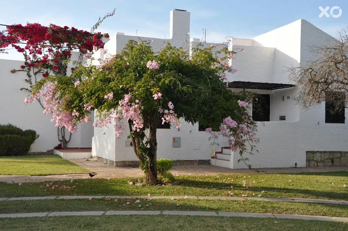 Pedras D'el Rei