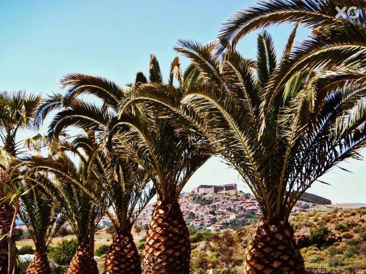 Marilena Resort Hotel