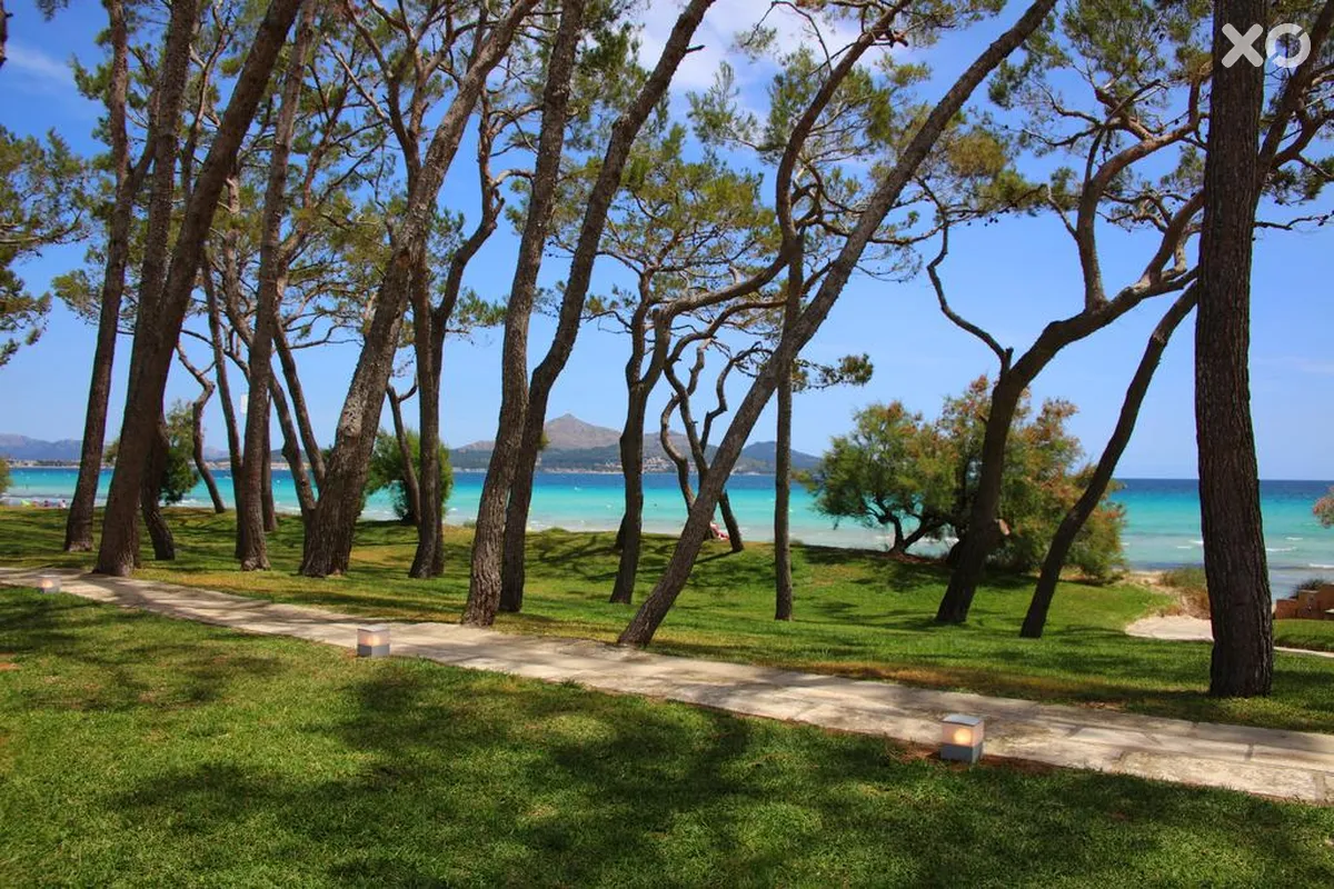 Iberostar Playa de Muro