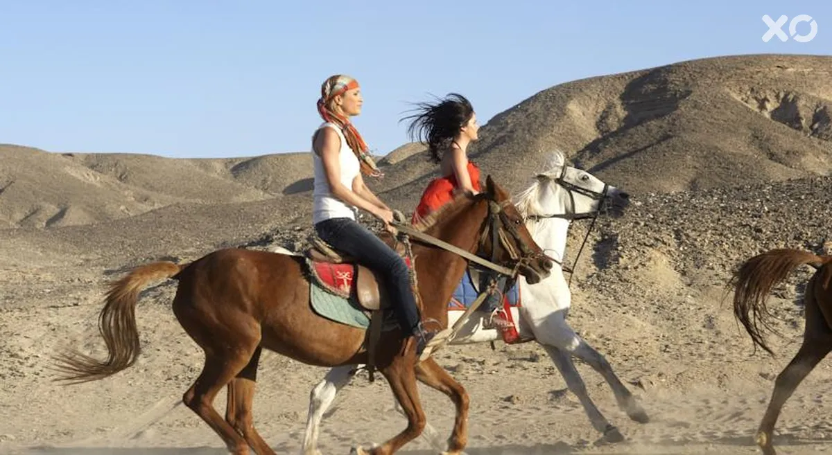 Albatros Sands Port Ghalib
