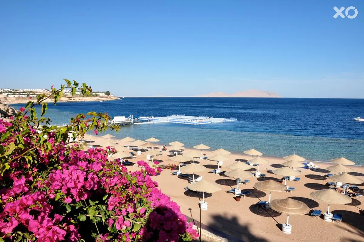 Domina Coral Bay Harem