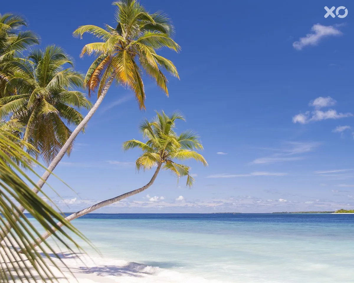 Dhonfulhafi Beach View & Spa