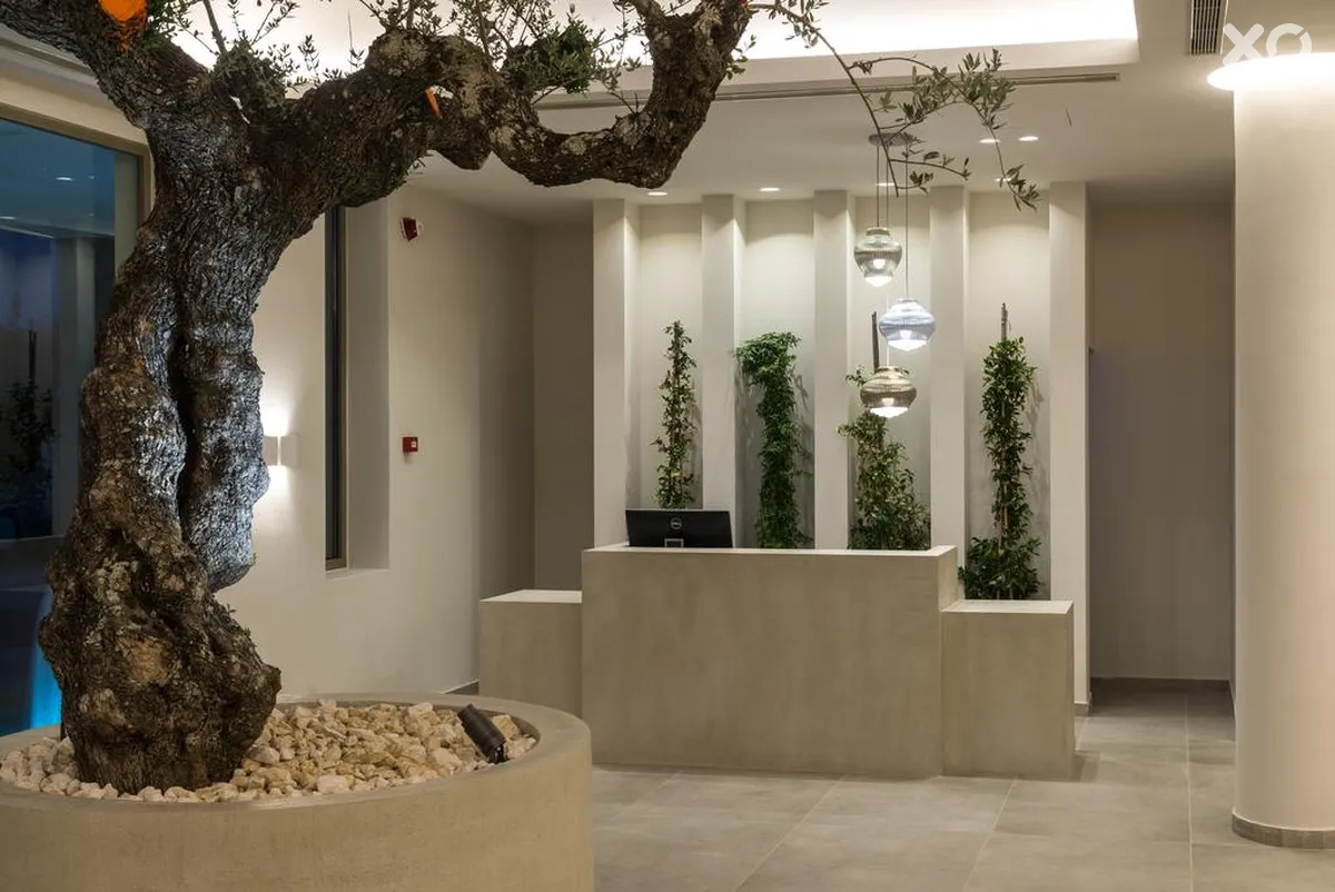 Tsamis Zante Suites