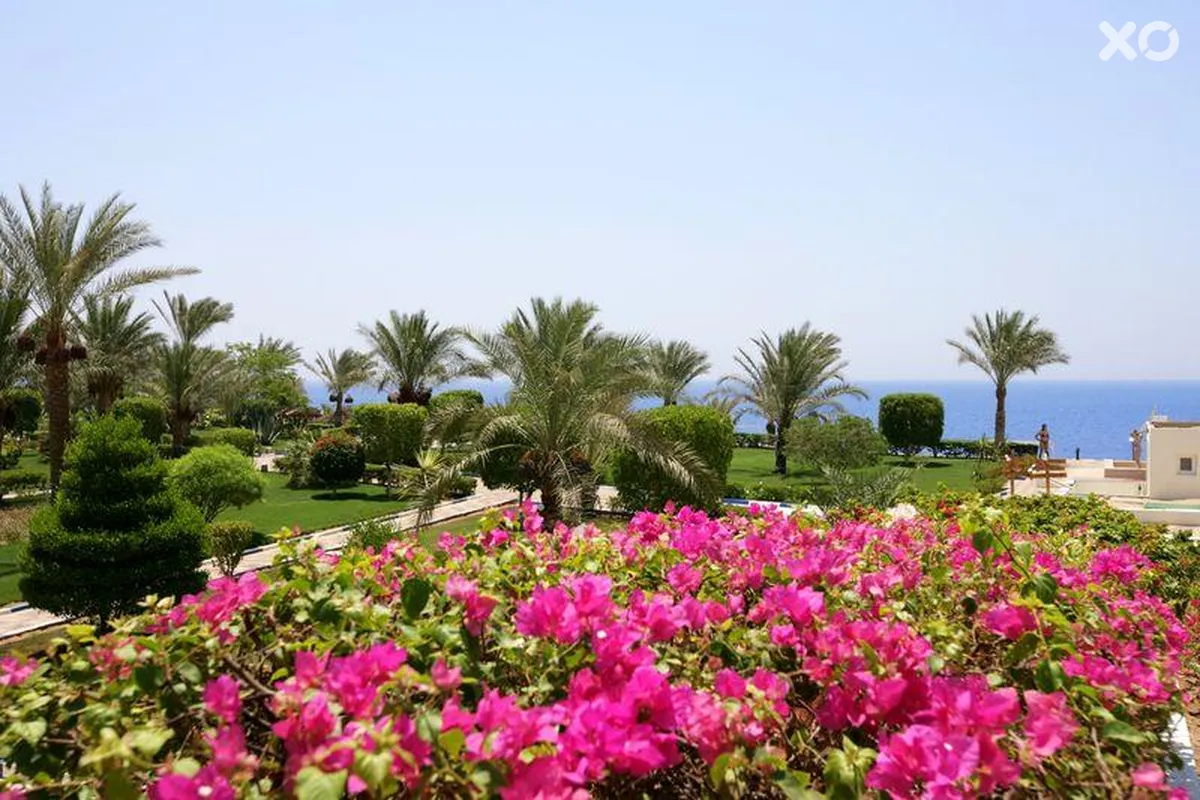 Grand Oasis Resort