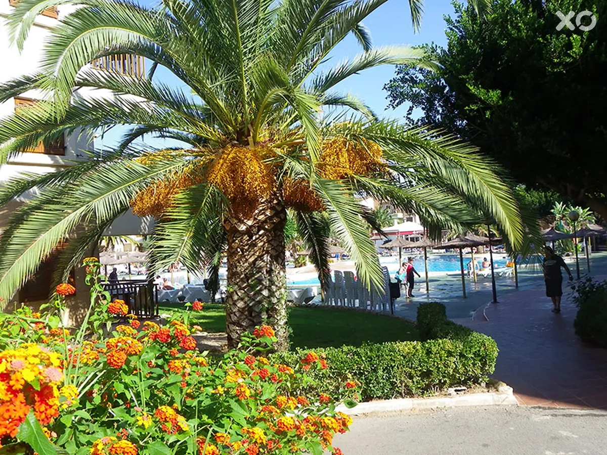 Albir Garden Resort