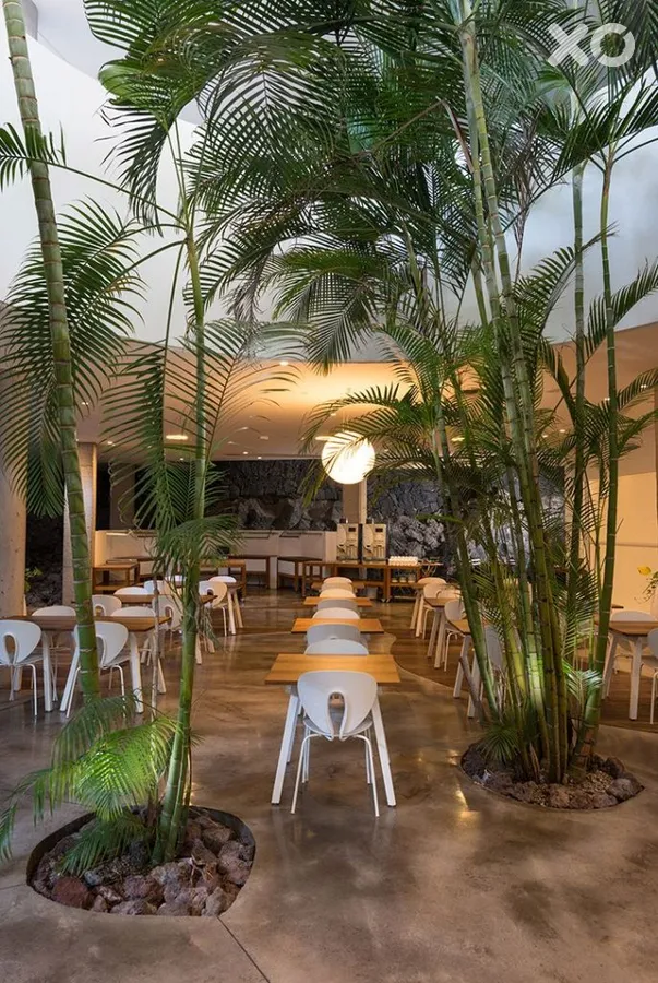 Baobab Suites Hotel