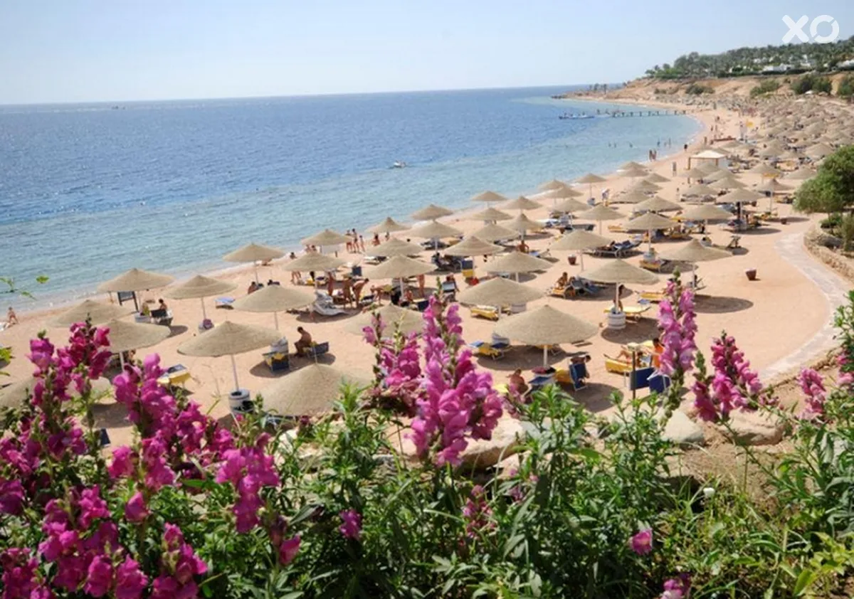 Domina Coral Bay Harem