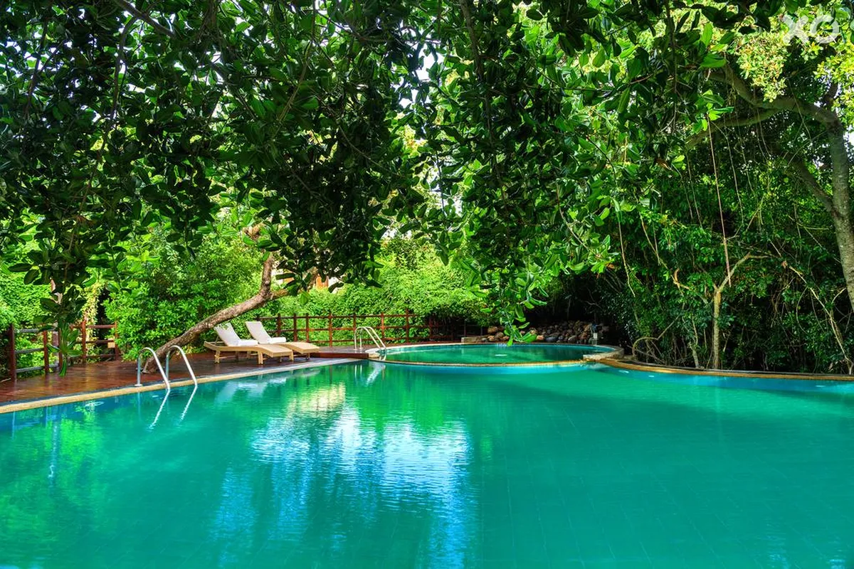 Jungle Beach Resort