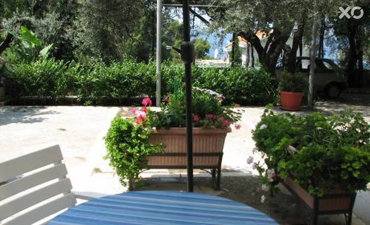 Sara Lux Apartments