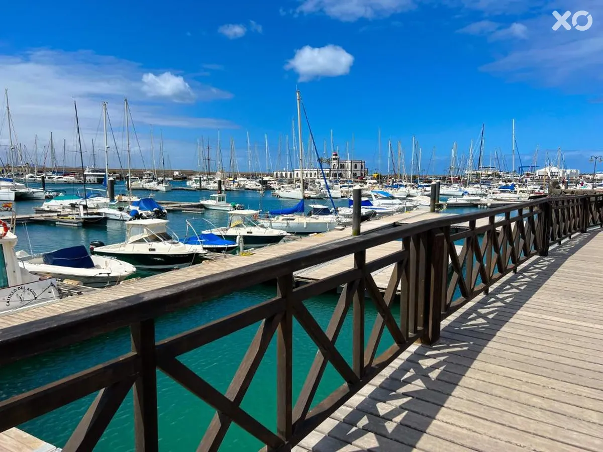 Cordial Marina Blanca