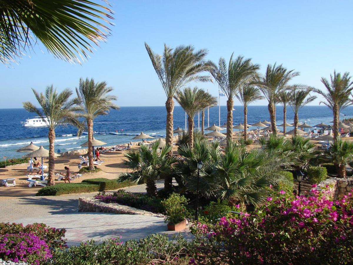 Queen Sharm Resort