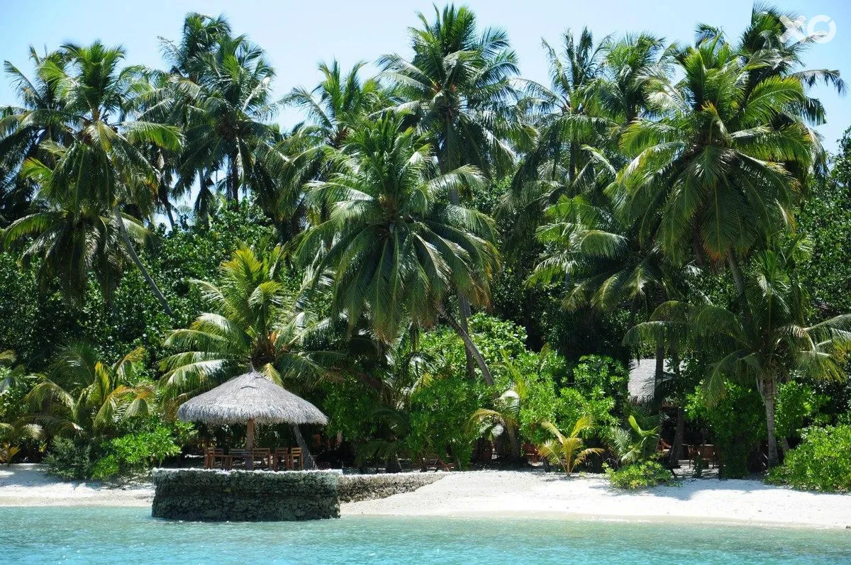 Filitheyo Island Resort