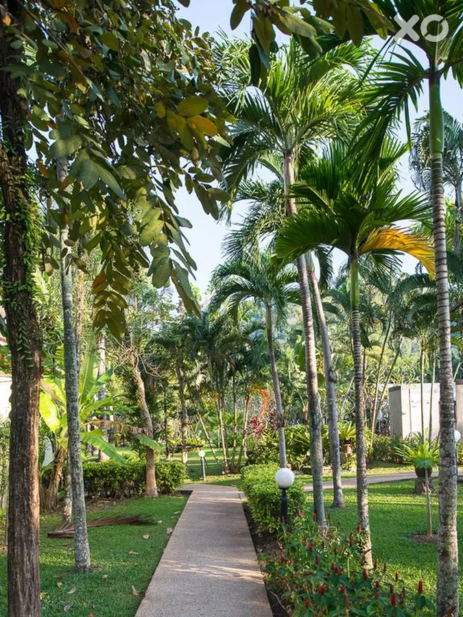 Deevana Patong Resort & Spa