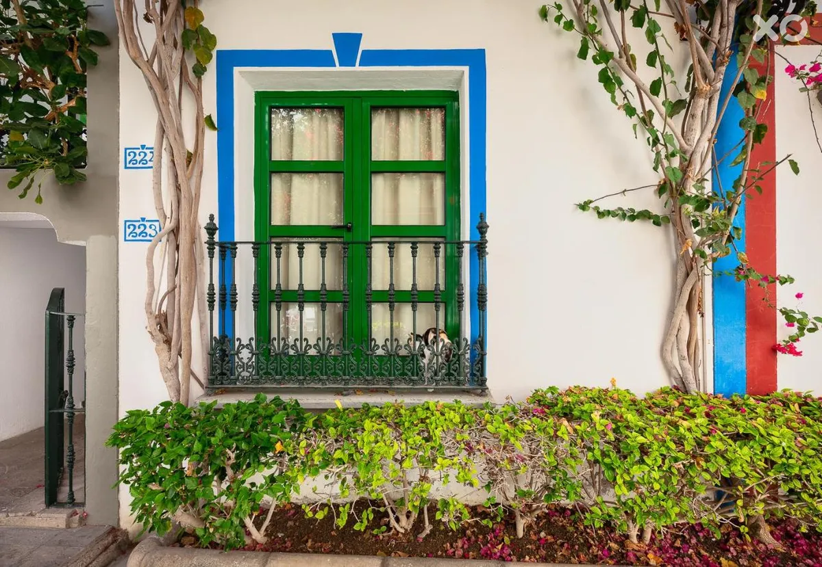 Livvo Puerto de Mogan Apartamentos
