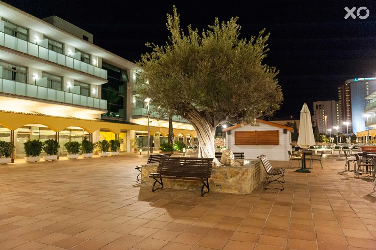 Mediterraneo Benidorm Hotel