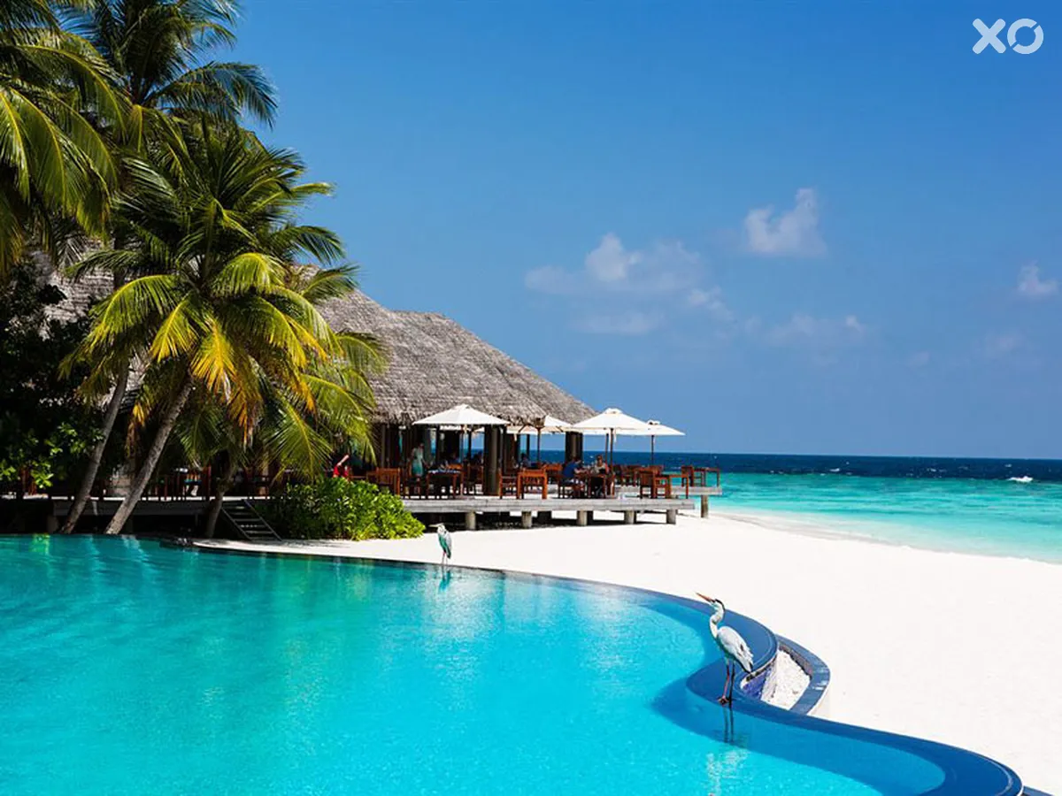 Veligandu Island Resort & Spa