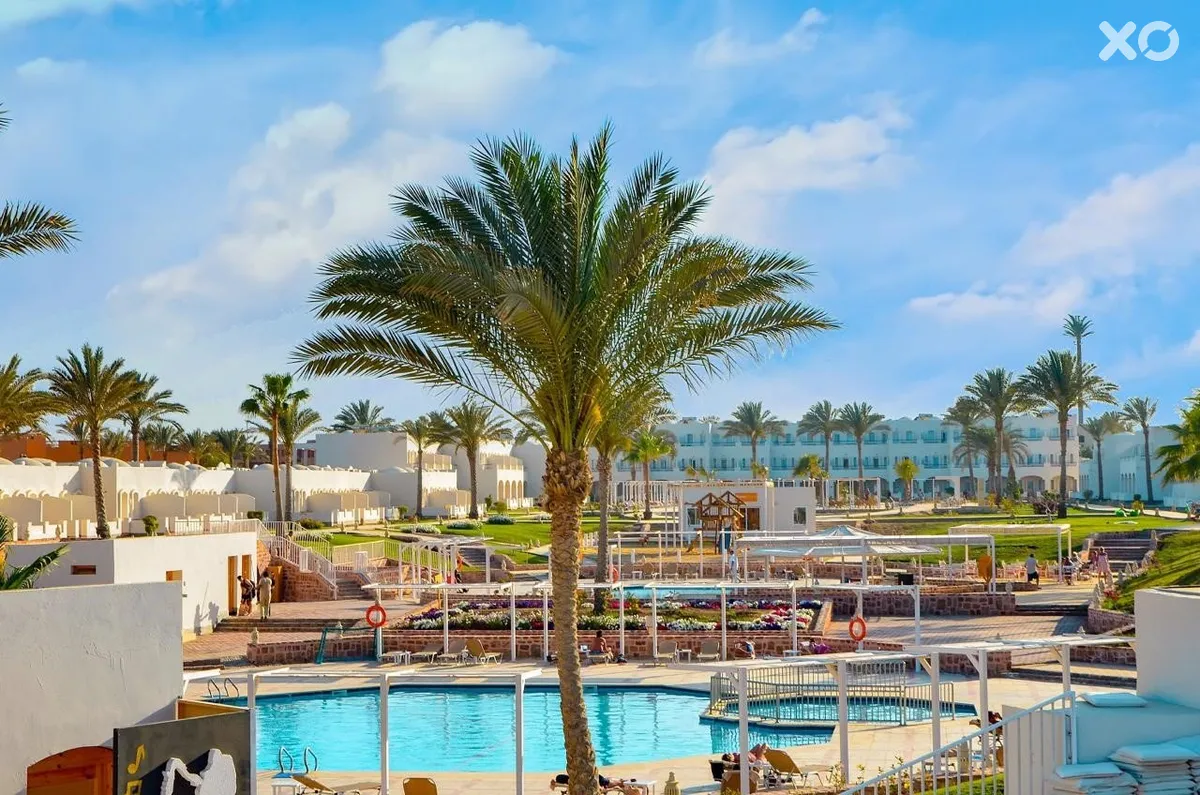 Solymar Reef Marsa