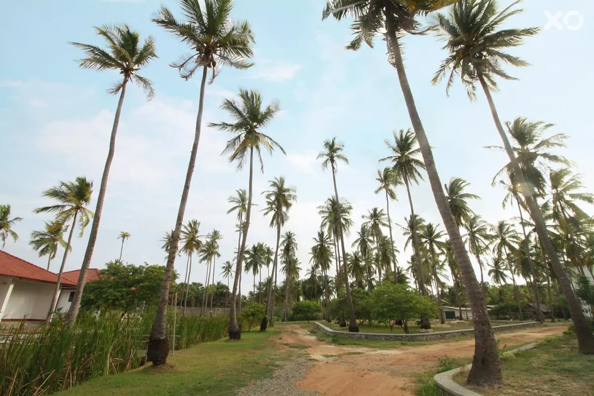 Capital Wind Kalpitiya