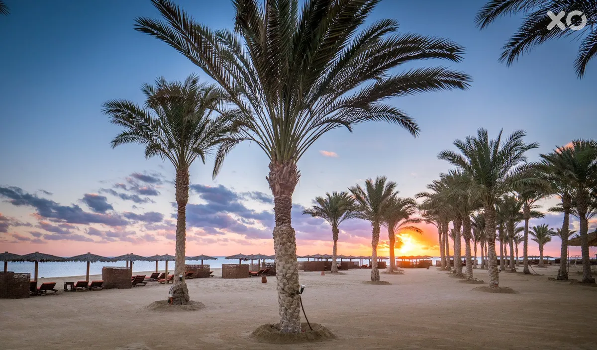 Tulip Magic Beach Resort
