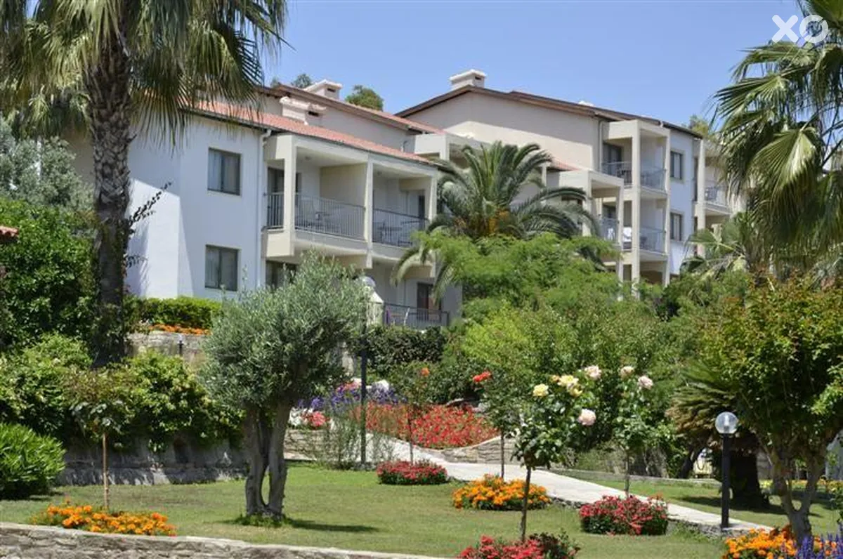 Barut Arum