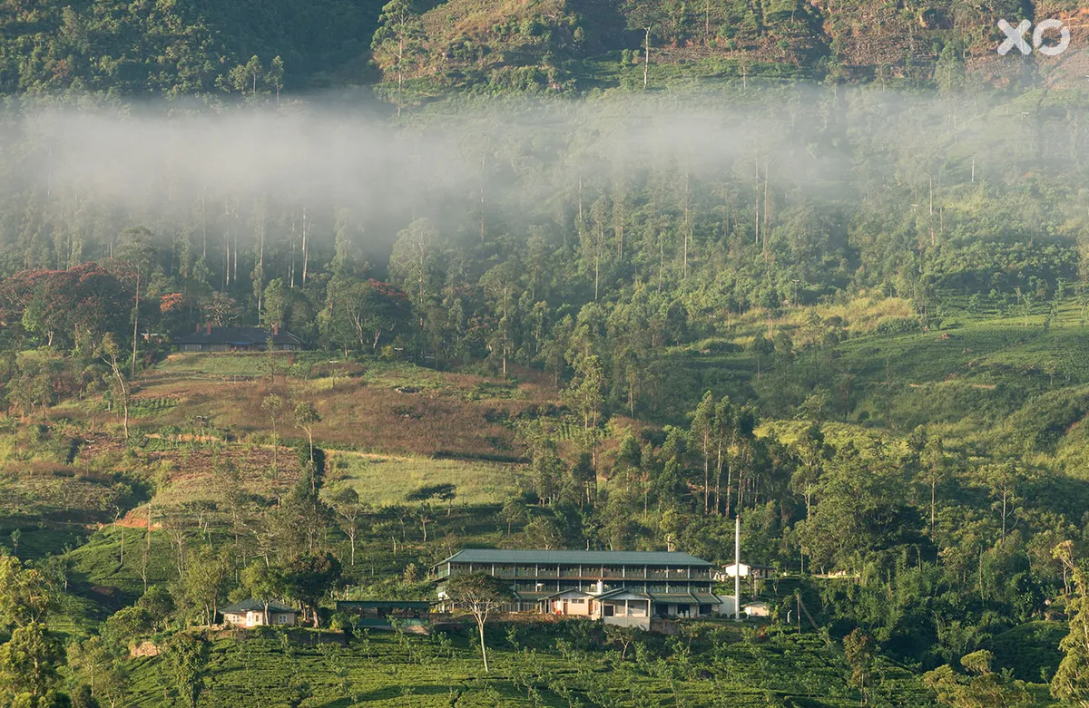 Ceylon Tea Trails