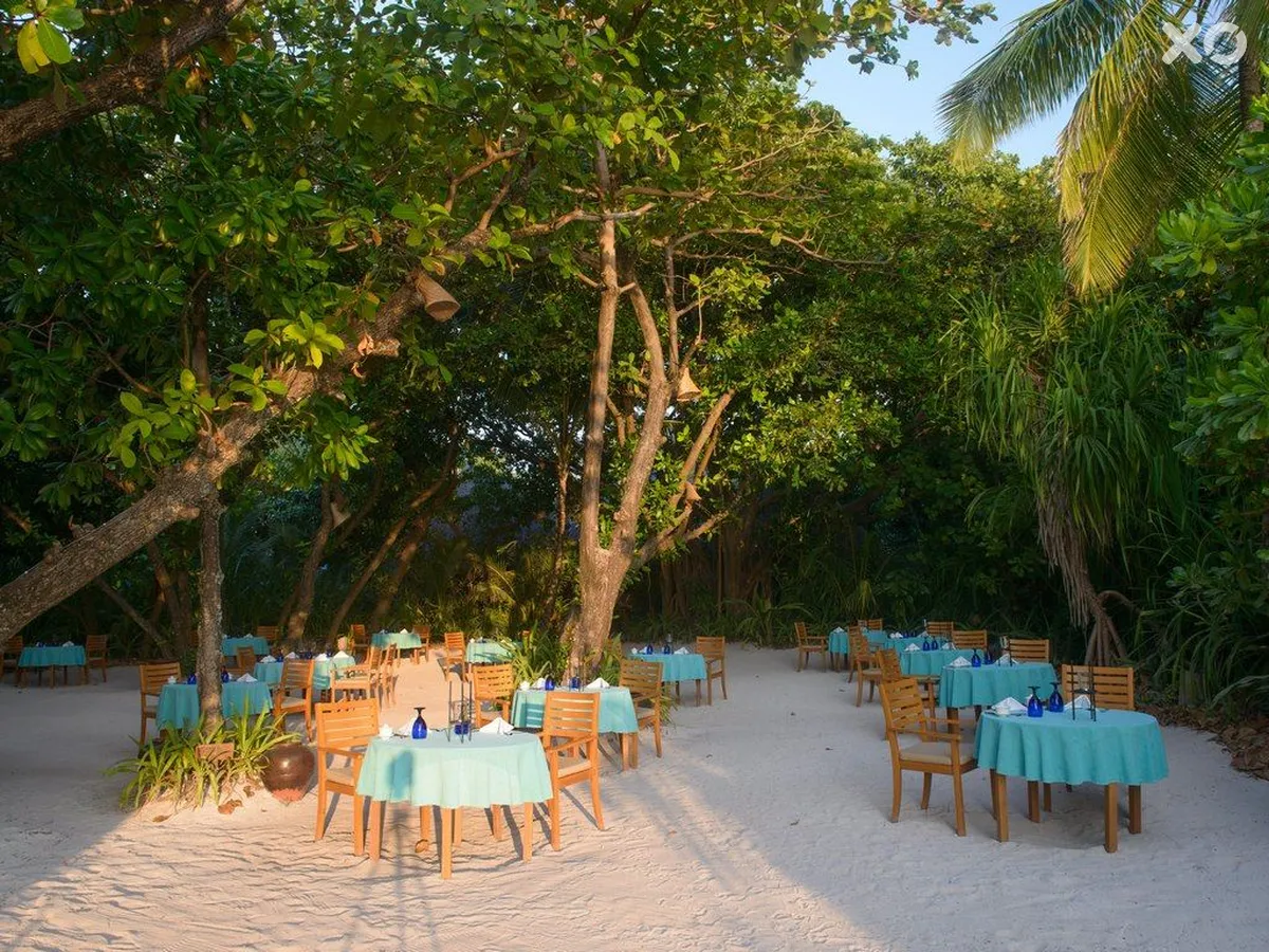 Coco Palm Dhuni Kolhu