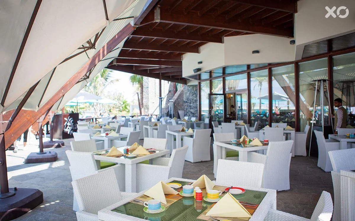JA Palm Tree Court