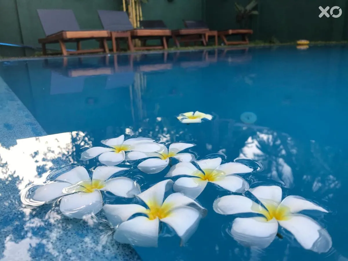 Crescent Resort