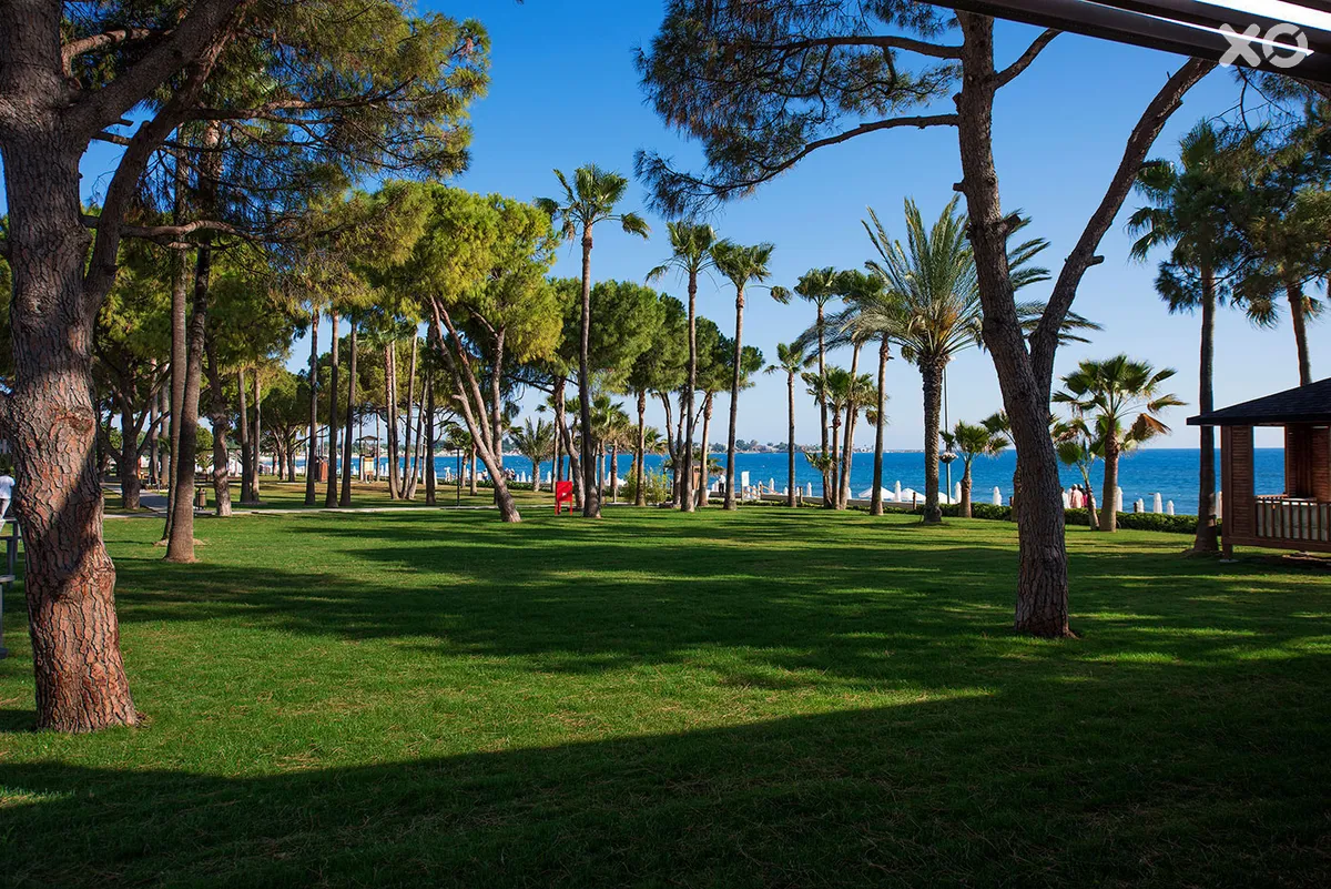 Acanthus Cennet Barut Collection