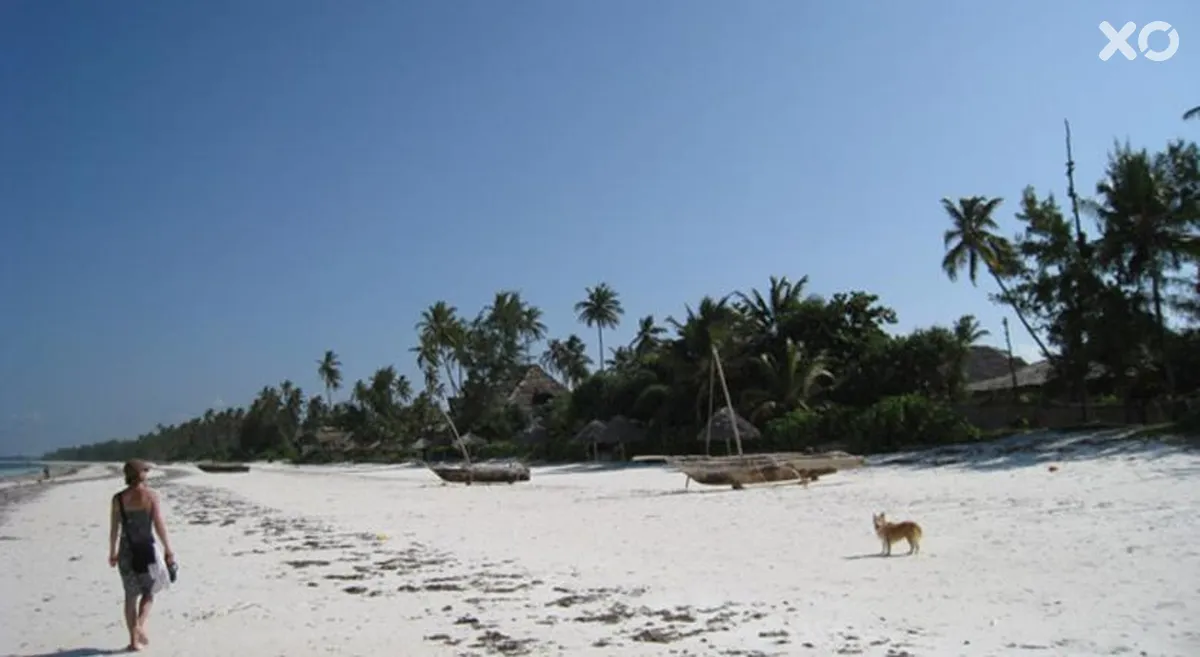 Zoi Boutique Hotel Zanzibar