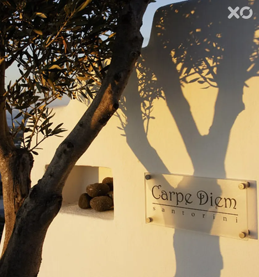Carpe Diem Hotel