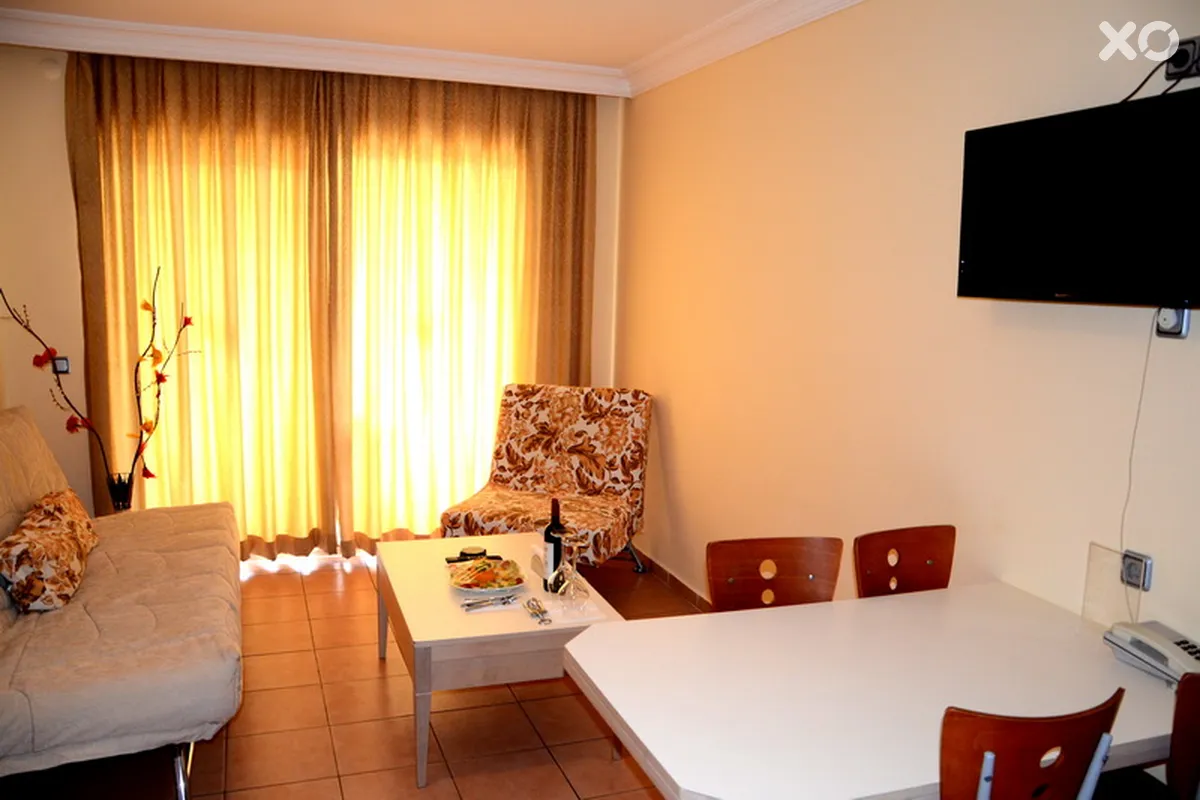 Alenz Suite