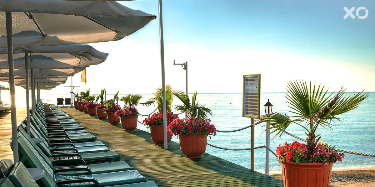 Gypsophila Club Marine