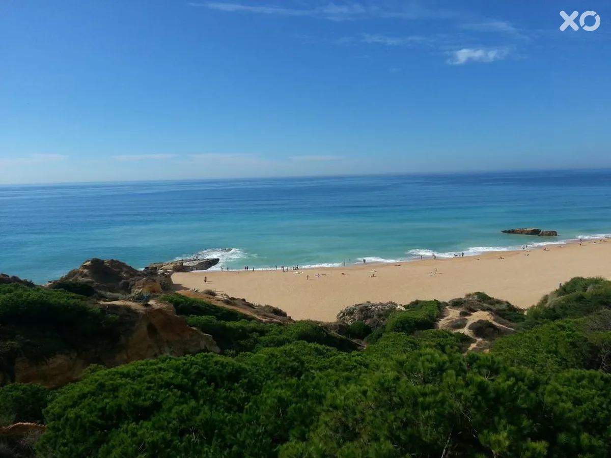 Auramar Beach Resort