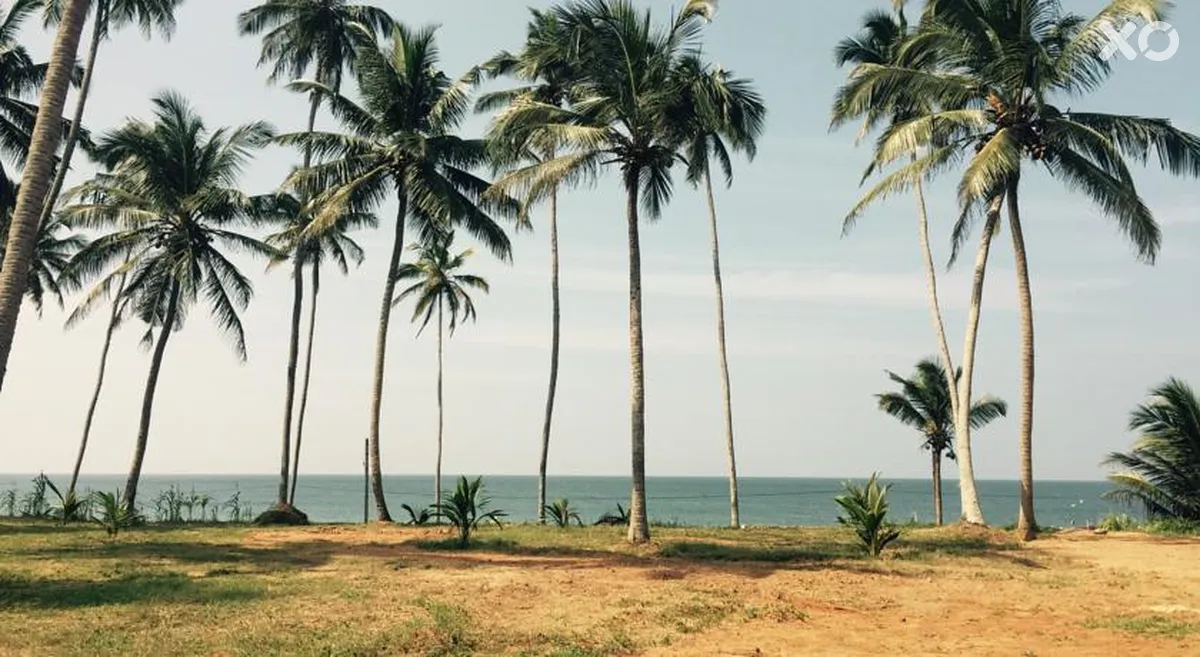 White Rose Beach Resort