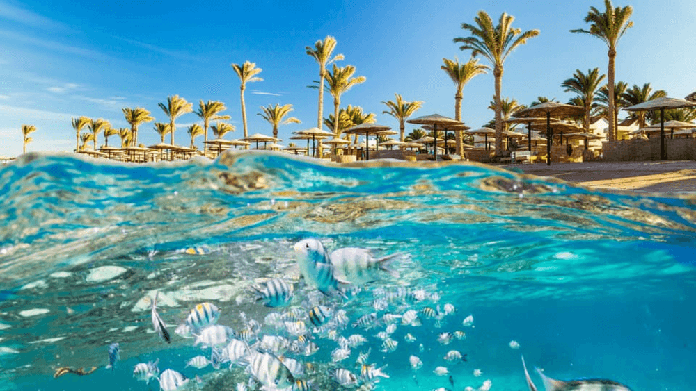 Відпочинок у Єгипті: навіщо їхати