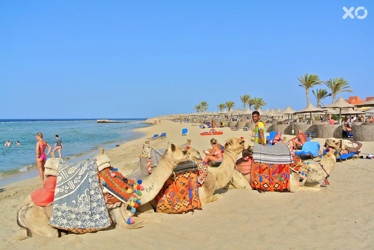 Malikia Resort Abu Dabbab