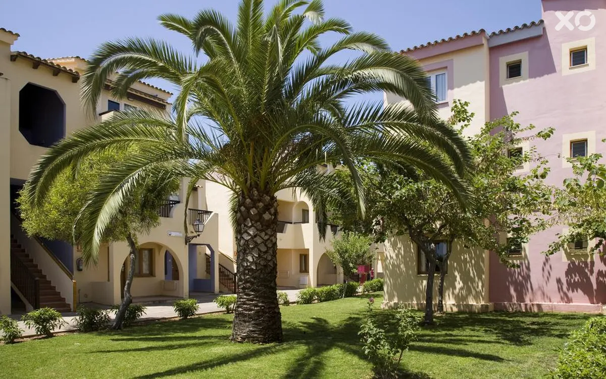 Globales Bouganvilla