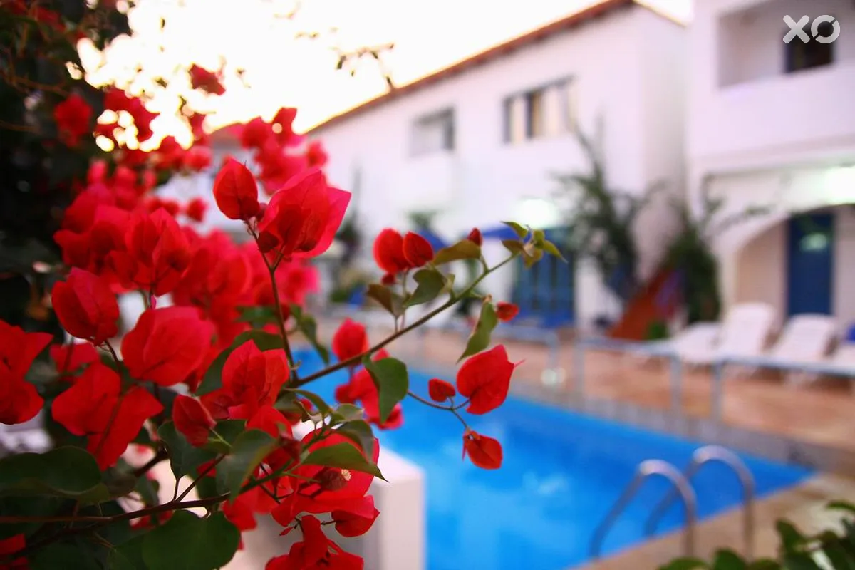 Iliana Hotel