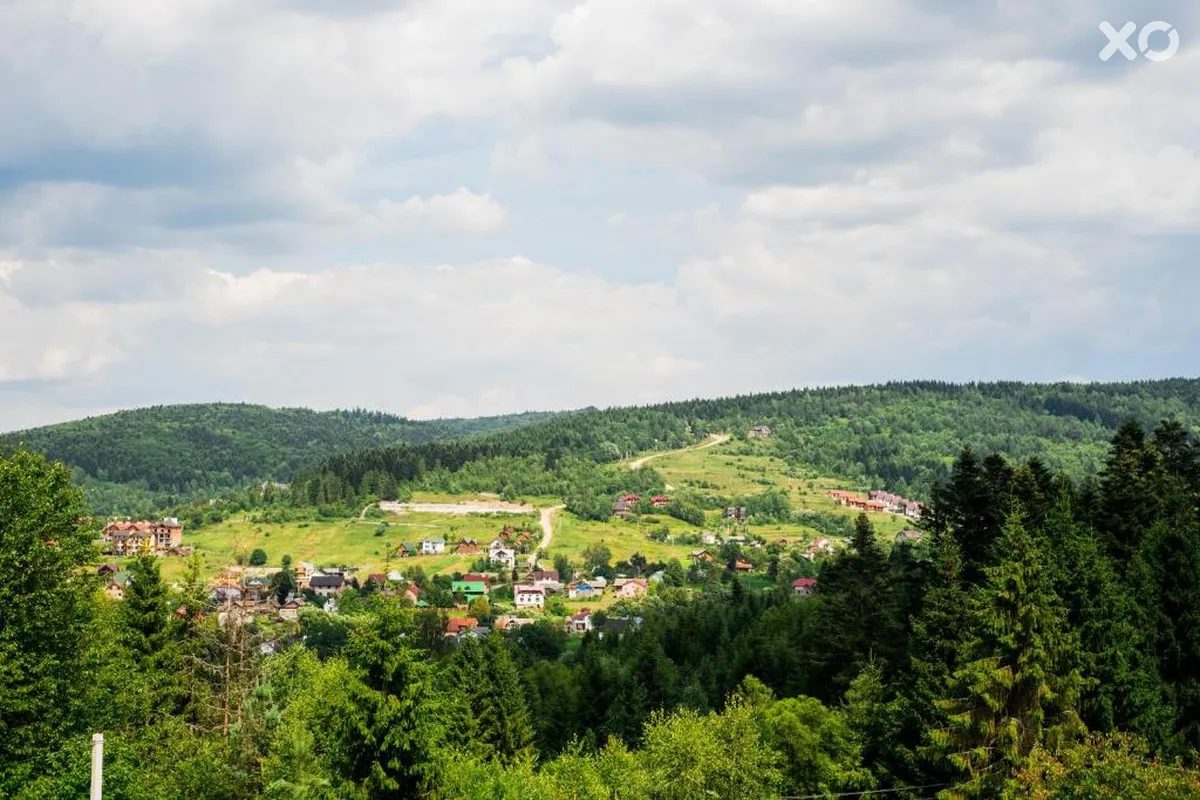 Зелений Бір
