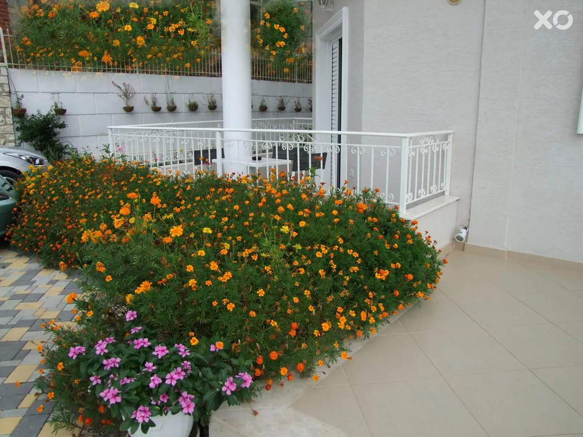 August Ksamil Villa