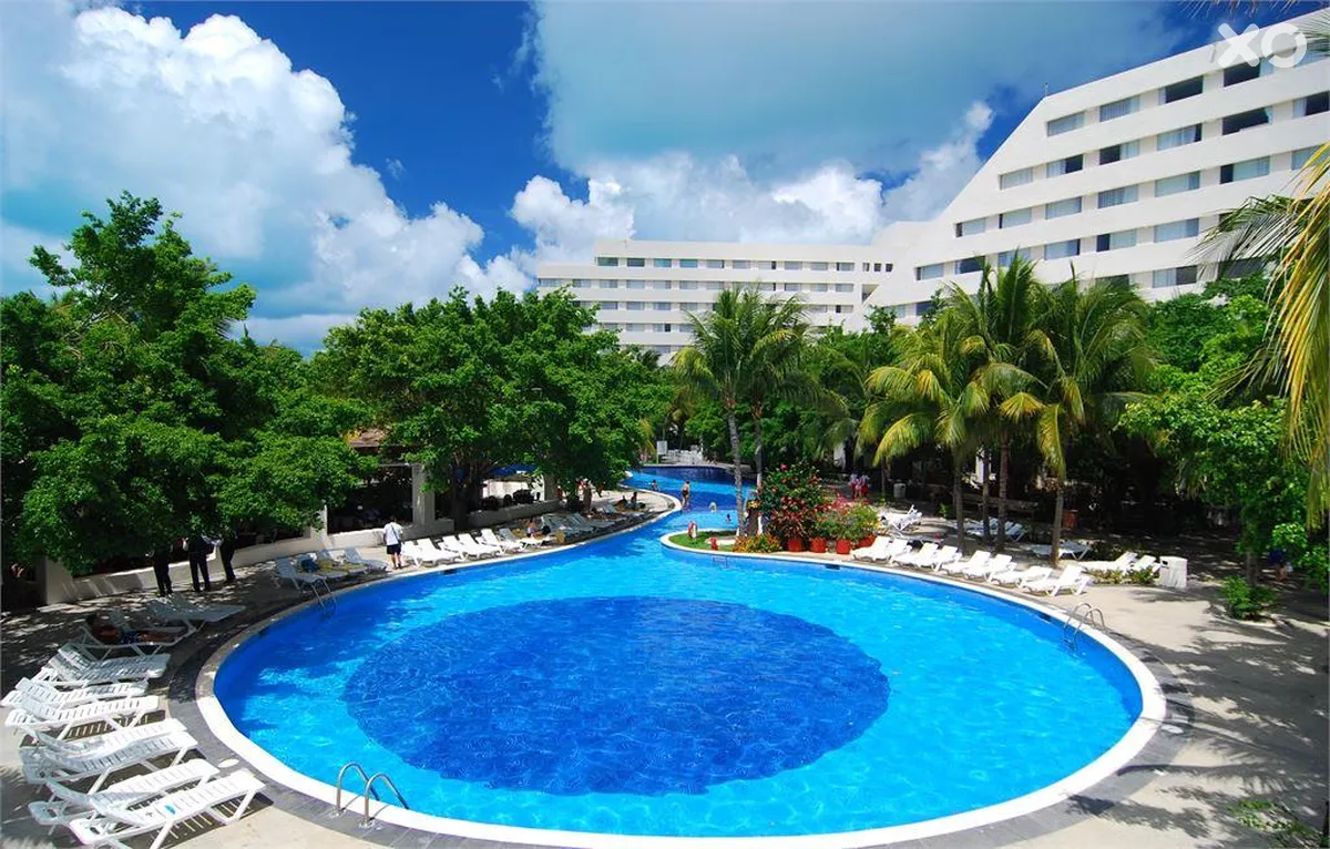 Grand Oasis Palm