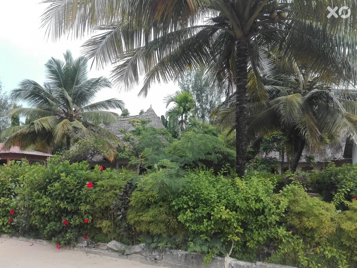 Kihori Beach Bungalows