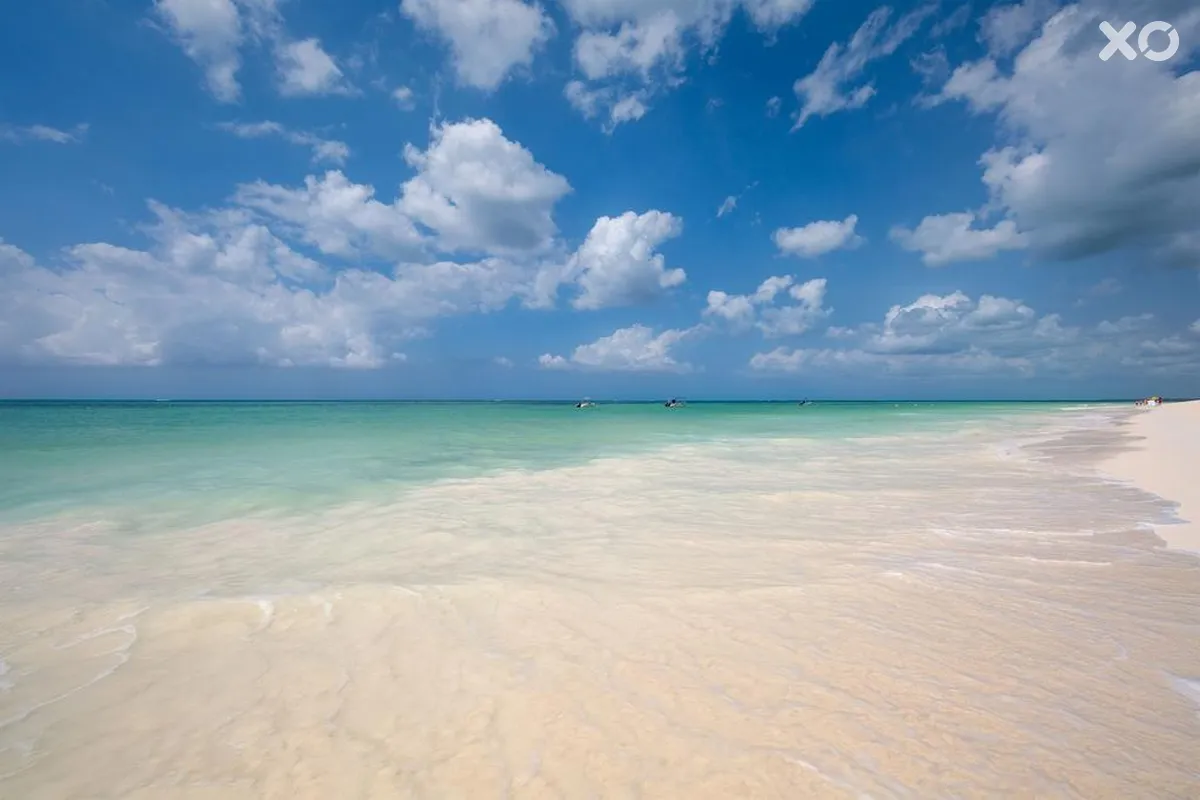 Next Paradise Boutique Resort