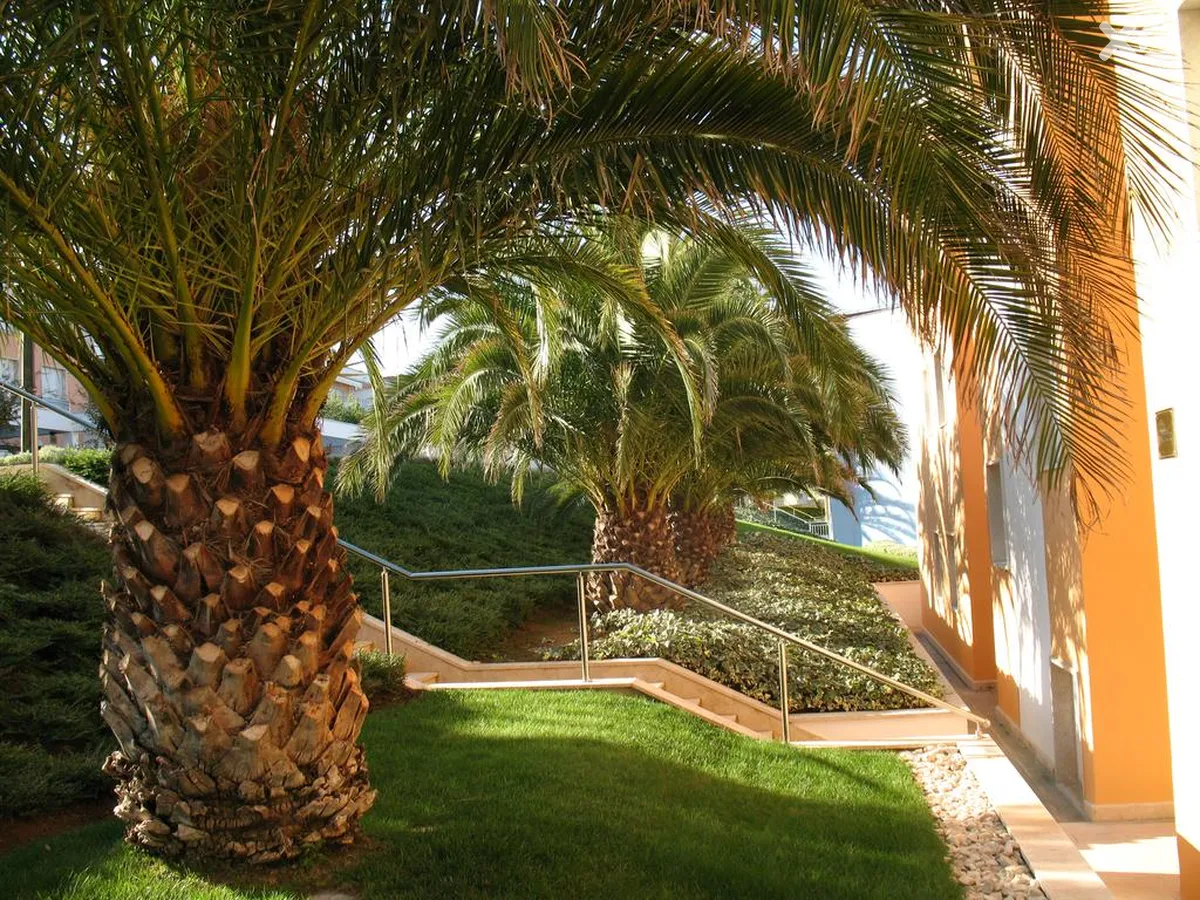 Skiper Resort