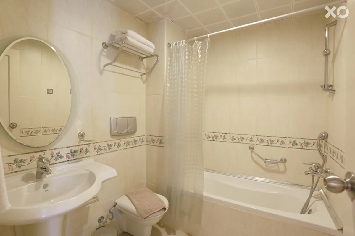 Alenz Suite