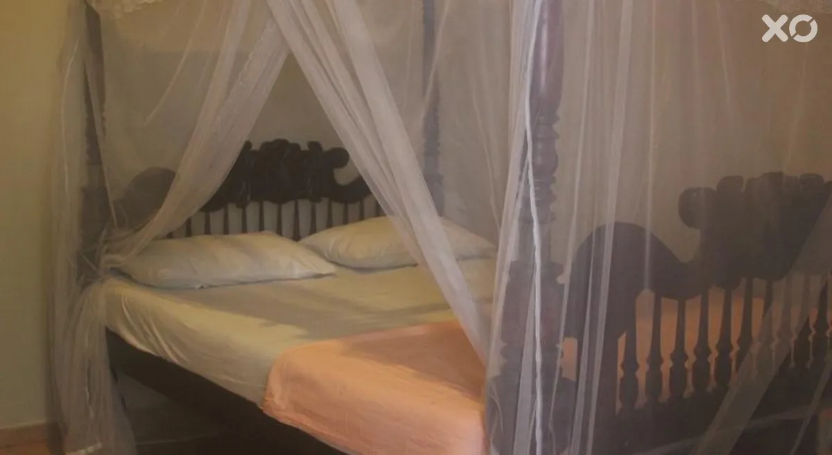 The Serendipity Hotel Beach