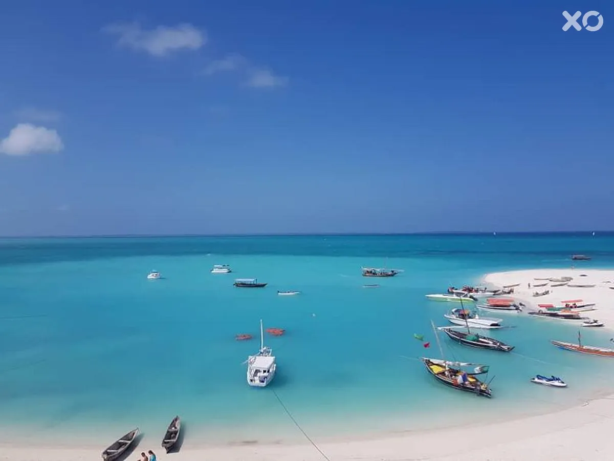 Sun Sea Bar