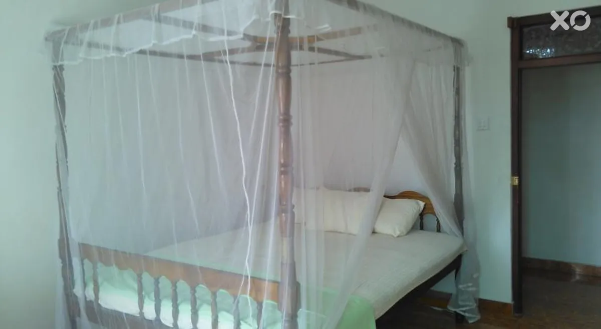 The Serendipity Hotel Beach