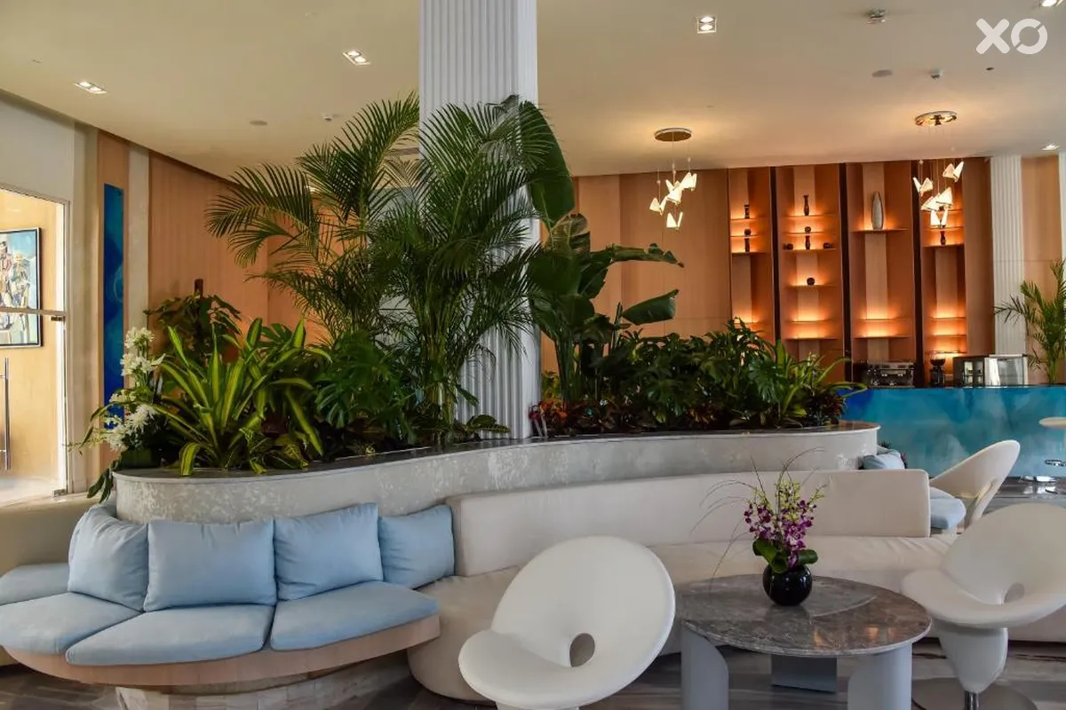 Cleopatra Luxury Resort Sharm - Adults Only
